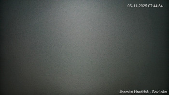 Snímek 5.11.2025 v 07:45