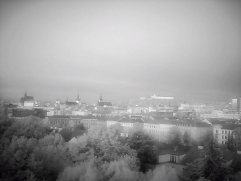 Snímek    9.5.2025 v 05:30