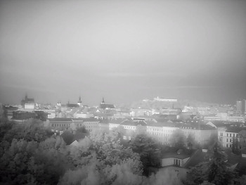 Snímek    10.5.2025 v 05:30