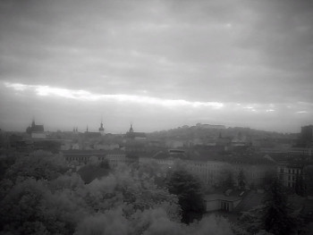 Snímek    11.5.2025 v 06:00