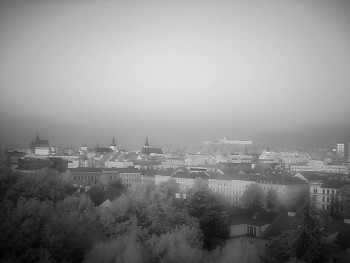 Snímek    13.5.2025 v 05:30