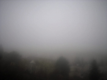 Snímek    2.11.2025 v 08:00