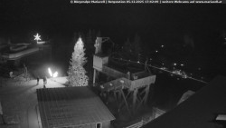 Mariazeller Bürgeralpe - Berggasthof