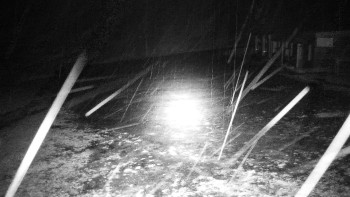 Snímek    3.11.2025 v 00:00