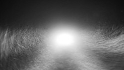 Nástupní stanice LD, Chata Vindoška