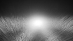 Nástupní stanice LD, Chata Vindoška