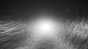 Snow park Paprsek - Nástupní stanice LD, Chata Vindoška - 15.12.2025 v 07:00