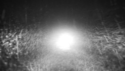 Nástupní stanice LD, Chata Vindoška