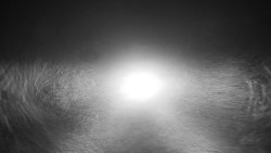 Nástupní stanice LD, Chata Vindoška