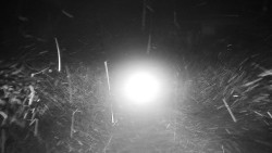 Nástupní stanice LD, Chata Vindoška