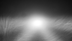 Nástupní stanice LD, Chata Vindoška