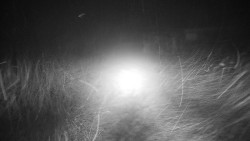 Nástupní stanice LD, Chata Vindoška