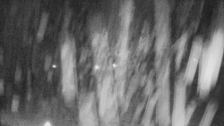 Rejvíz - Běžecké stopy