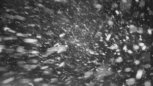 Rejvíz - Běžecké stopy - Rejvíz - Běžecké stopy - 25.12.2025 v 03:00