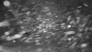 Rejvíz - Běžecké stopy - Rejvíz - Běžecké stopy - 25.12.2025 v 04:00