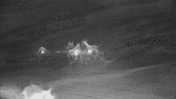 Rejvíz - Běžecké stopy