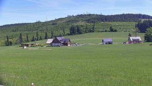 Rejvíz - Běžecké stopy - Běžecké trasy, Chata Férovka, Zámecký pahorek - 29.5.2026 v 14:00