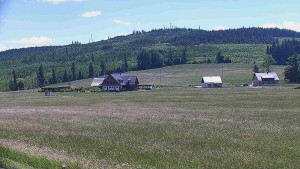Rejvíz - Cross-country ski trails - Running routes, Férovka Chalet, Castle Hill - 16.6.2026 v 12:00 Rejvíz - Cross-country ski trails - Running routes, Férovka Chalet, Castle Hill - 16.6.2026 v 12:00