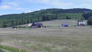 Rejvíz - Cross-country ski trails - Running routes, Férovka Chalet, Castle Hill - 16.6.2026 v 14:00 Rejvíz - Cross-country ski trails - Running routes, Férovka Chalet, Castle Hill - 16.6.2026 v 14:00