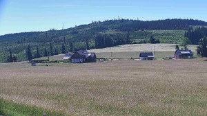Rejvíz – trasy narciarstwa biegowego - Trasy biegowe, Chata Férovka, Wzgórze Zamkowe - 24.6.2026 v 10:00 Rejvíz – trasy narciarstwa biegowego - Trasy biegowe, Chata Férovka, Wzgórze Zamkowe - 24.6.2026 v 10:00