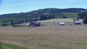 Rejvíz – trasy narciarstwa biegowego - Trasy biegowe, Chata Férovka, Wzgórze Zamkowe - 24.6.2026 v 11:00 Rejvíz – trasy narciarstwa biegowego - Trasy biegowe, Chata Férovka, Wzgórze Zamkowe - 24.6.2026 v 11:00