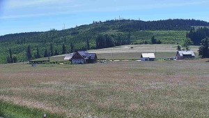 Rejvíz – trasy narciarstwa biegowego - Trasy biegowe, Chata Férovka, Wzgórze Zamkowe - 24.6.2026 v 12:00 Rejvíz – trasy narciarstwa biegowego - Trasy biegowe, Chata Férovka, Wzgórze Zamkowe - 24.6.2026 v 12:00