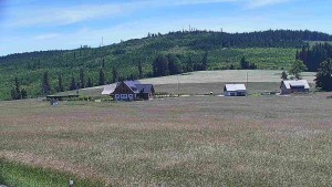 Rejvíz – trasy narciarstwa biegowego - Trasy biegowe, Chata Férovka, Wzgórze Zamkowe - 24.6.2026 v 13:00 Rejvíz – trasy narciarstwa biegowego - Trasy biegowe, Chata Férovka, Wzgórze Zamkowe - 24.6.2026 v 13:00