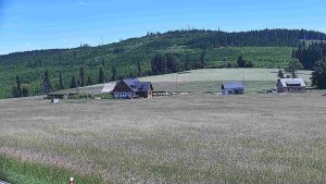Rejvíz – trasy narciarstwa biegowego - Trasy biegowe, Chata Férovka, Wzgórze Zamkowe - 24.6.2026 v 14:00 Rejvíz – trasy narciarstwa biegowego - Trasy biegowe, Chata Férovka, Wzgórze Zamkowe - 24.6.2026 v 14:00