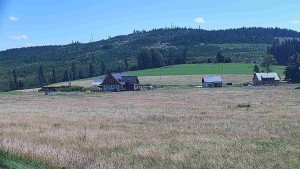 Rejvíz – trasy narciarstwa biegowego - Trasy biegowe, Chata Férovka, Wzgórze Zamkowe - 8.8.2026 v 13:00 Rejvíz – trasy narciarstwa biegowego - Trasy biegowe, Chata Férovka, Wzgórze Zamkowe - 8.8.2026 v 13:00