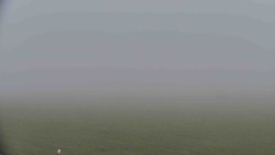 Running routes, Férovka Chalet, Castle Hill