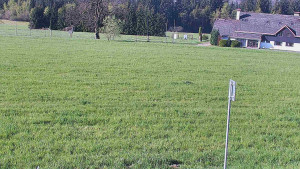 Rejvíz - Běžecké stopy - Rejvíz - Běžecké stopy - 9.5.2025 v 08:00