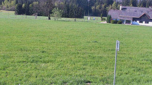 Rejvíz - Běžecké stopy - Rejvíz - Běžecké stopy - 9.5.2025 v 09:00