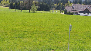Rejvíz - Běžecké stopy - Rejvíz - Běžecké stopy - 11.5.2025 v 13:00