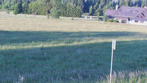 Rejvíz - Běžecké stopy - Rejvíz - Běžecké stopy - 15.6.2025 v 06:00