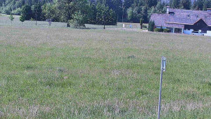 Rejvíz - Běžecké stopy - Rejvíz - Běžecké stopy - 15.6.2025 v 10:00