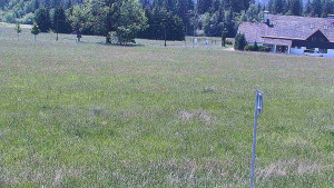Rejvíz - Běžecké stopy - Rejvíz - Běžecké stopy - 15.6.2025 v 12:00