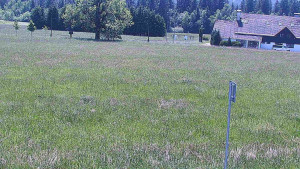 Rejvíz - Běžecké stopy - Rejvíz - Běžecké stopy - 15.6.2025 v 13:00