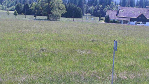 Rejvíz - Běžecké stopy - Rejvíz - Běžecké stopy - 15.6.2025 v 14:00