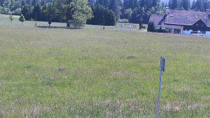 Rejvíz - Běžecké stopy - Rejvíz - Běžecké stopy - 15.6.2025 v 15:00