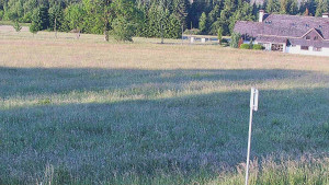 Rejvíz - Běžecké stopy - Rejvíz - Běžecké stopy - 21.6.2025 v 06:00