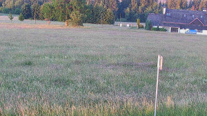 Rejvíz - Běžecké stopy - Rejvíz - Běžecké stopy - 1.7.2025 v 05:00
