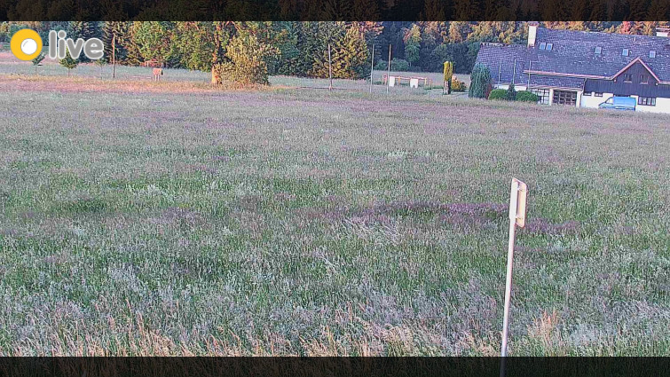 Rejvíz - Běžecké stopy - Rejvíz - Běžecké stopy - 3.7.2025 v 05:00