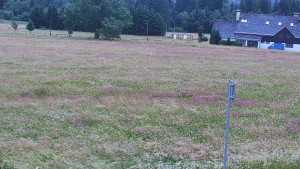 Rejvíz - Běžecké stopy - Rejvíz - Běžecké stopy - 12.7.2025 v 05:00