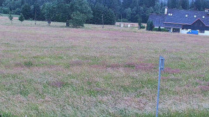 Rejvíz - Běžecké stopy - Rejvíz - Běžecké stopy - 12.7.2025 v 06:00