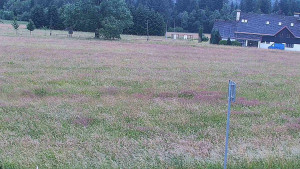 Rejvíz - Běžecké stopy - Rejvíz - Běžecké stopy - 12.7.2025 v 07:00