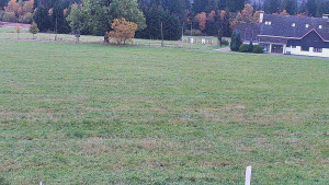 Rejvíz - Běžecké stopy - Rejvíz - Běžecké stopy - 17.10.2025 v 10:00