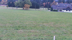 Rejvíz - Běžecké stopy - Rejvíz - Běžecké stopy - 17.10.2025 v 12:00