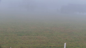 Rejvíz - Běžecké stopy - Rejvíz - Běžecké stopy - 17.11.2025 v 09:00 Rejvíz - Běžecké stopy - Rejvíz - Běžecké stopy - 17.11.2025 v 09:00