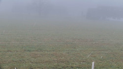 Rejvíz - Běžecké stopy