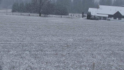 Rejvíz - Běžecké stopy